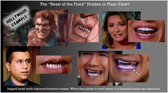 beast_of_field_modern_teeth_r3.fw
