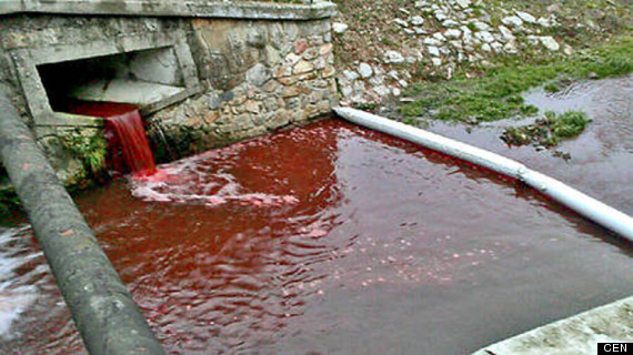 Locals in a small Slovakian town woke in horror this week when they found a river running through their small town flowing bright red with....blood.Roman Podbrezova, 65, from the foothill town of Myjava in Slovakia, had gone for a morning walk when he saw the river which runs through the centre of the town bubbling with blood.