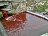 Locals in a small Slovakian town woke in horror this week when they found a river running through their small town flowing bright red with....blood.Roman Podbrezova, 65, from the foothill town of Myjava in Slovakia, had gone for a morning walk when he saw the river which runs through the centre of the town bubbling with blood.