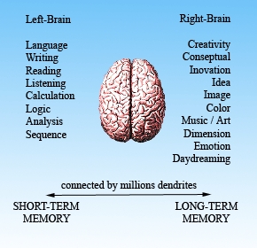 brain_breakdown