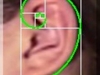 ear_fibonacci